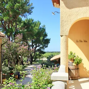 Le Clos Vitis , Violès France
